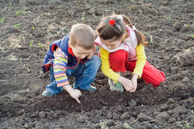 V igri smo vztrajali zaradi sosede Maje. FOTO: Shutterstock