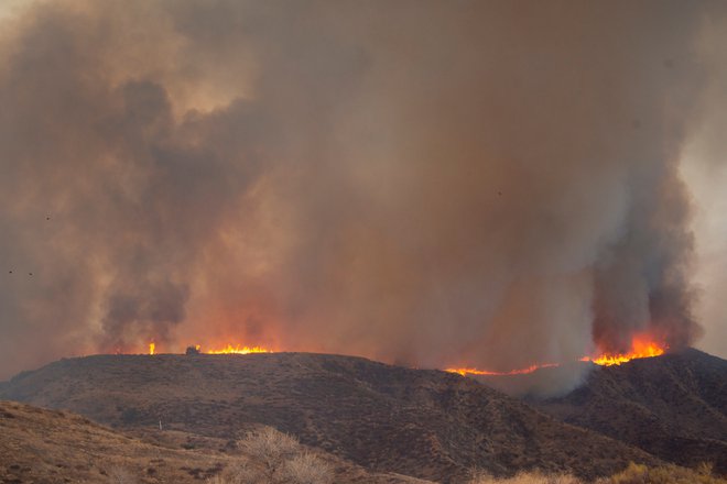 Ogenj je izbruhnil blizu jezera Castaic severno od kalifornijske Sante Clarite. FOTO: Ringo Chiu/Reuters