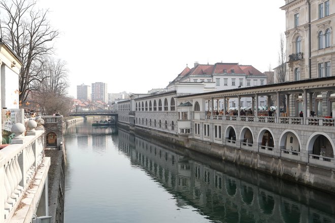 Analizirano mora biti nihanje gladin podtalnice v sušnih in v mokrih razmerah, tudi v času visokih ali nizkih vodostajev Ljubljanice, vključno s smermi in hitrostmi tokov podzemne vode. FOTO: Dejan Javornik