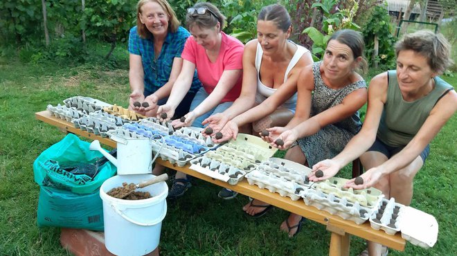 Iz več kot 500.000 semenskih kroglic iz avtohtonih slovenskih semen že raste več kot 100.000 rastlin. FOTO: Ekoci