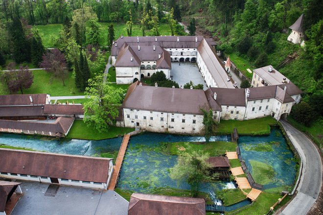 Kartuzijanski samostan stoji na robu Ljubljanskega barja in tik nad izviri Bistre. Pritok reke Ljubljanice izvira v bližini. FOTO:  Jure Korber/TMS