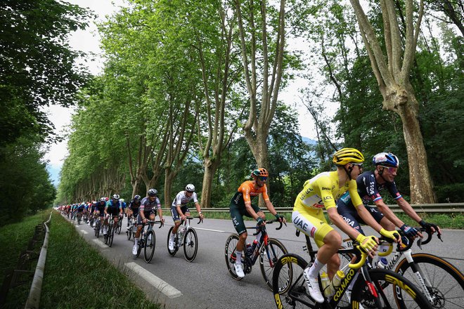 Tadej Pogačar, Primož Roglič, Luka Mezgec in drugi slovenski asi bodo tudi letos igrali glavne vloge v kolesarski karavani. FOTO: Anne-Christine Poujoulat/AFP