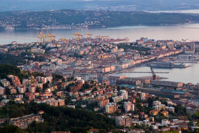 Tržaške oblasti so Blue Ocean že leta 2015 obtožile davčne utaje v vrednosti 500.000 evrov. FOTO: Francesco de Marco/Shutterstock 