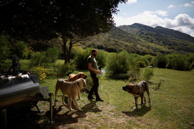 Organizacija si prizadeva, da bi z razumevanjem živali popravili odnos med človekom in naravo. FOTO: Juan Medina/Reuters