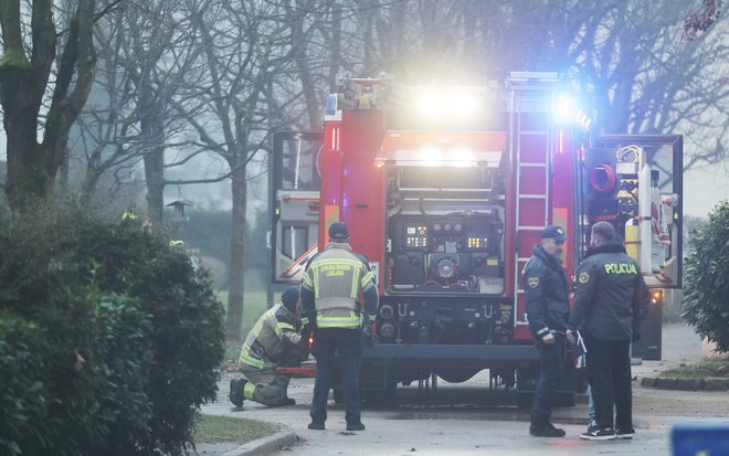 FOTO: Jože Suhadolnik/Delo