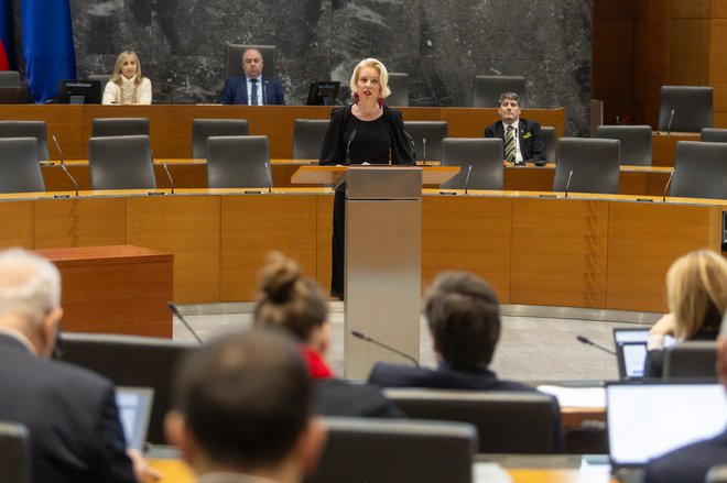 Državni zbor je razpravo o zakonu opravil že novembra, a o njem ni glasoval, ker je opozicijska SDS vložila pobudo za posvetovalni referendum. FOTO: Voranc Vogel/Delo