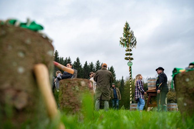 Ko je ekipa postavila mlaj, jih je s svojim obiskom nagradil tudi laški pivovar – seveda, v družbi sodčka laškega piva. FOTO: Pivovarna Laško