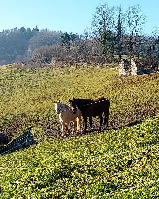 Pred dvesto leti je Smoletova druščina sem prihajala s konji.  FOTO: Aleš Nosan