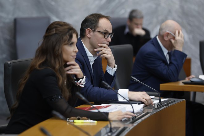 Evi Irgl in Anžetu Logarju, nekdanjima poslancem SDS, se je v stranki že pridružil Tine Novak, nekdanji poslanec Gibanja Svobode. Skupaj bodo lahko ustanovili poslansko skupino. FOTO: Leon Vidic