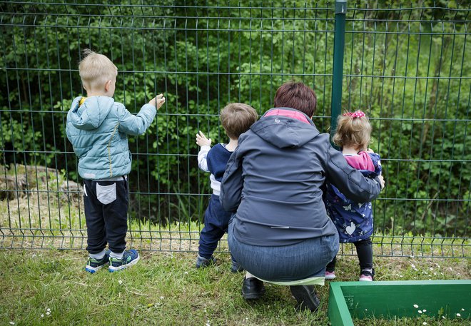 Cene vrtcev se lahko povečajo tudi zaradi novih normativov. FOTO: Jože Suhadolnik/Delo