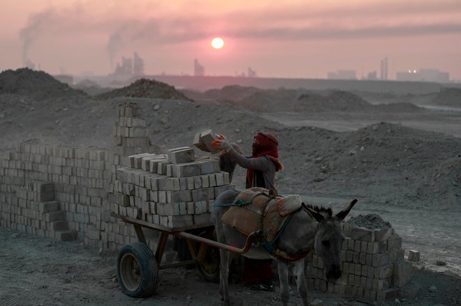 Iraška delavka nalaga glinene opeke na voz, ki ga vleče osel v tovarni v okrožju al-Kifl na obrobju mesta Hilla v osrednjem Iraku. Foto: Ahmad Al-rubaye/Afp