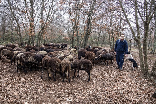 »Moral sem nadaljevati tradicijo, nisem si predstavljal, da bi se pri nas vse ustavilo,« pravi Vedran Macan. FOTO: Berislava Picek/Cropix