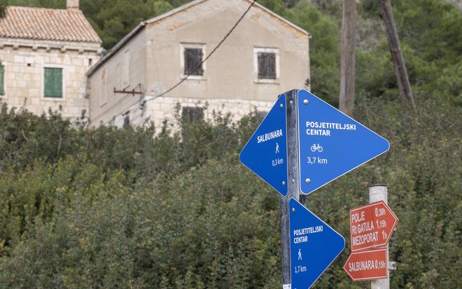 Biševo je otok mistike, kjer jutranja meglica ovija pečine in divji valovi šepetajo starodavne zgodbe. Življenje tukaj ni lahko, a ponuja nekaj neprecenljivega – mir, svobodo in povezanost z naravo, kar danes najdete redkokje. FOTO: Božidar Vukičević/Cropix