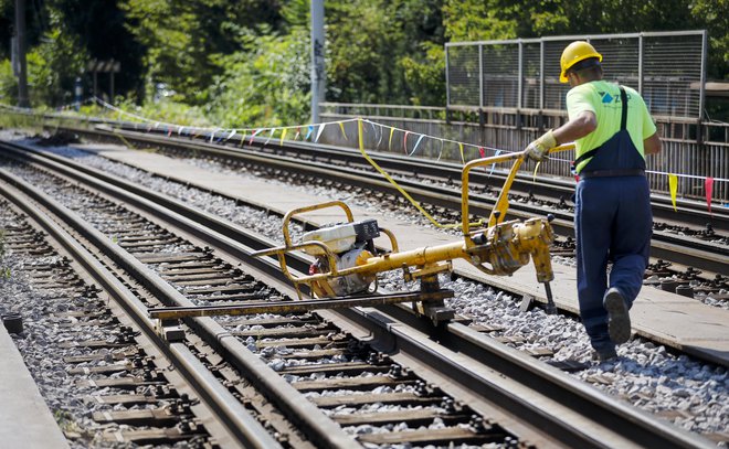 Investicije v javno železniško infrastrukturo so v zadnjih letih namenjene predvsem zmanjšanju zaostanka pri doseganju parametrov, primerljivih s tujimi železnicami. Foto Jože Suhadolnik