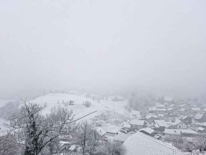 Sneženje bo predvidoma najintenzivnejše v dopoldanskih urah. Na fotografiji Šentjur pri Celju. FOTO: Beti Burger/Delo