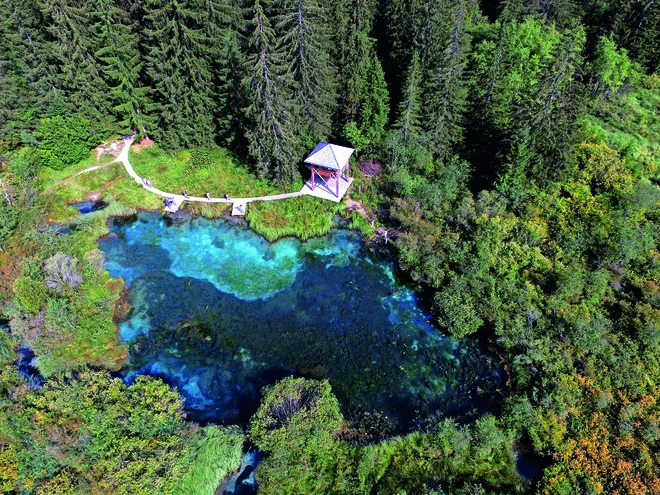 Zelenci FOTO: Boštjan Mihelak