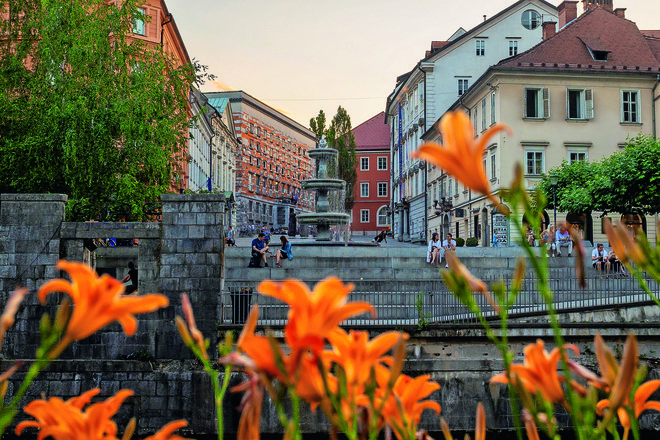 FOTO: Matjaž Tavčar