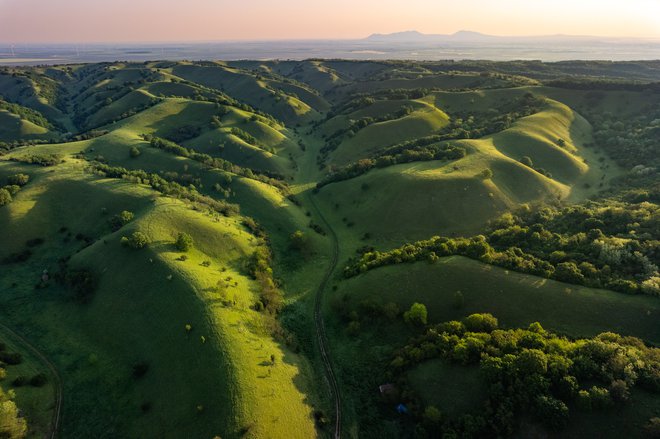 FOTO: Nebojša Atanacković