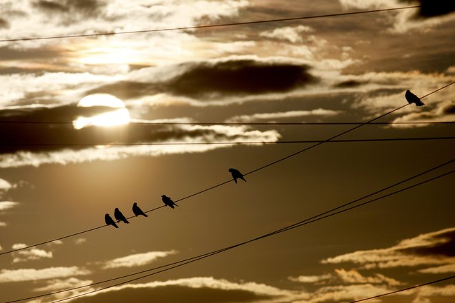 Če bosta podnebna in okoljska kriza uničili to, od česar živimo, bo začelo primanjkovati vode, cene hrane pa se bodo zvišale. FOTO: Mavric Pivk