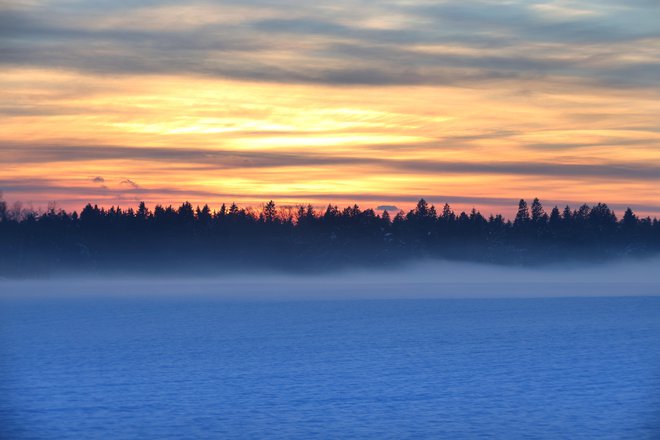 V se je poslovila v mrzlem januarskem dnevu. Pomislila sem, da se v življenju veliko pogovarjamo o vedno novih začetkih, zelo malo pa o koncih in odhodih. FOTO: Dejan Javornik