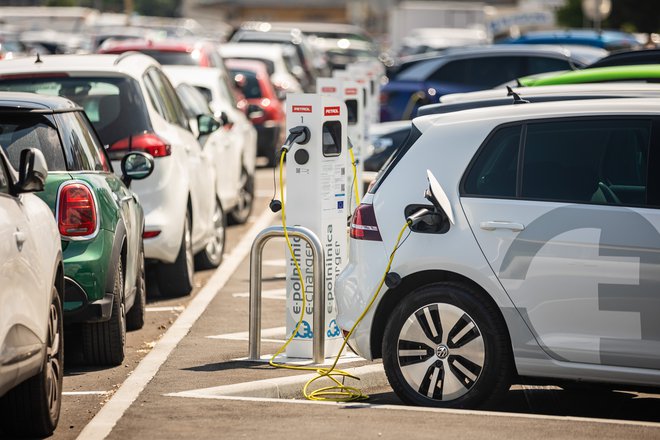 Na magistratu prisegajo na električna vozila, saj jih bodo najeli kar 28. Za njihov poslovni najem do leta 2030 bodo plačali 1,6 milijona evrov. Foto Črt Piksi