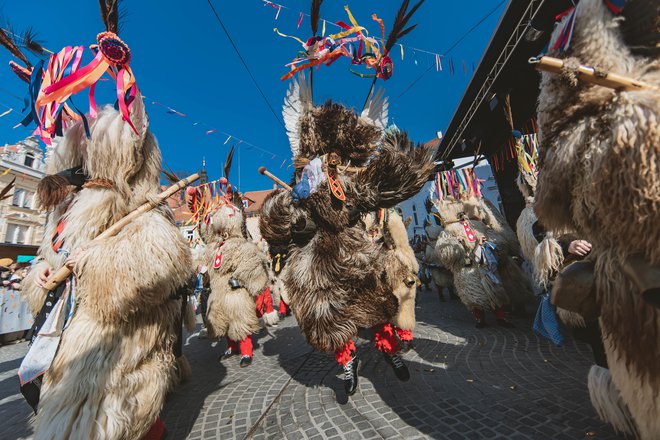 FOTO: Stanko Kozel