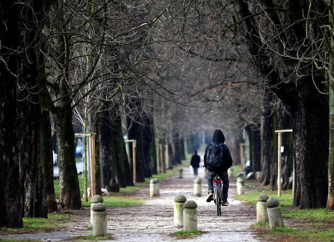 V Mariboru kolo za pot na delo in v šolo uporablja le pet odstotkov ljudi, od tega večinoma študenti. FOTO: Tadej Regent