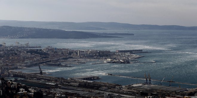 Tržaška luka na vsakem koraku opozarja, da je brezcarinsko območje. Ta status razvija na različnih delih pristanišča, tudi na logističnem terminalu pri Fernetičih. FOTO: Blaž Samec/Delo