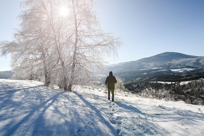 Goč, FOTO: Shutterstock