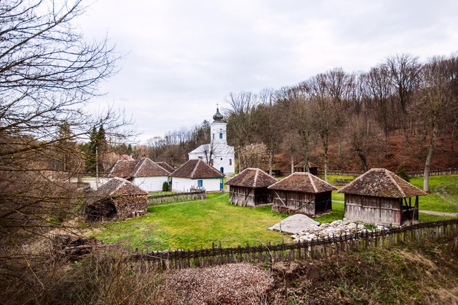 Vas Brankovina FOTO: Shutterstock