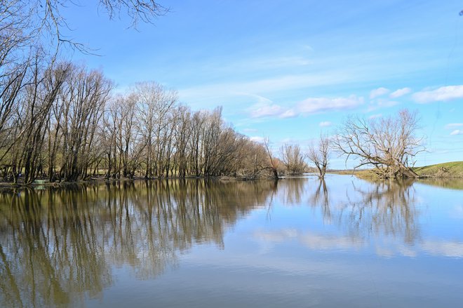 Naravni park Lonjsko polje FOTO: Vanesa Pandžić/Cropix