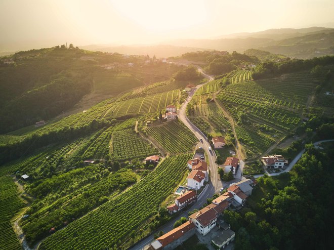 Vinsko posestvo Peterc je v Kojskem v Goriških brdih, kjer se prepletata Sredozemlje in gorato zaledje. FOTO: Peterc