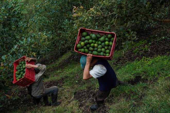 Večina podjetij v EU bo izvzeta iz poročanja o trajnostnosti poslovanja. FOTO: Alexis Munera Anadolu/Afp