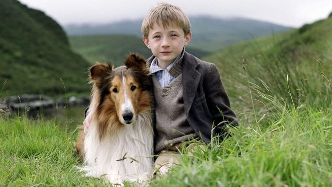 Lassie. Foto Planet TV