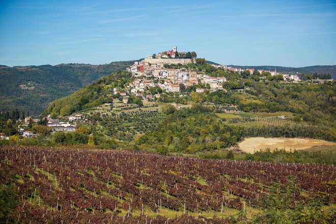 Motovun, 241015.
6. izdanje TeTe, festivala terana i tartufa privuklo je danas veliki broj gostiju na motovunsko brdo. Uz prigodnu degustaciju vina koje se moglo kusati iz degustacijske case koja je kostala 40 kuna, te gastro ponudu jela sa tartufima, dodijeljene su nagrade za najbolji teran i najtezi tartuf koji je bio tezak cak 840 grama.
Na fotografiji: Motovun.
Foto: Danijela Peracic/CROPIX Foto Danijela Peracic/Cropix Cropix