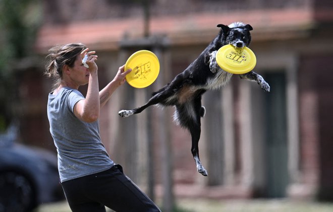 FOTO: Thomas Kienzle/AFP