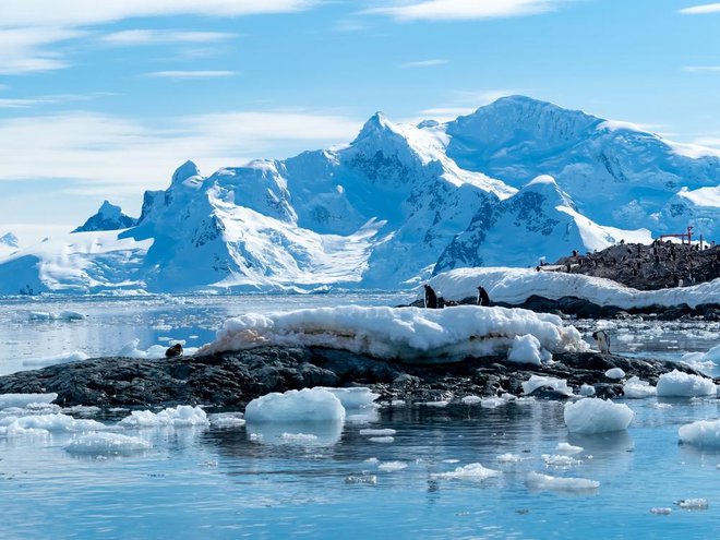 Razprave o prihodnosti antarktičnega turizma bodo ključnega pomena za zaščito njenega edinstvenega ekosistema. FOTO: Shutterstock