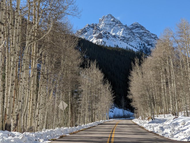 Trepetlike (ang. aspen) so tako očarale prve evropske priseljence, da so bližnje mesto poimenovali po njih. FOTO: Matjaž Panjan