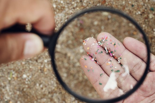 Delce so našli v krvi, možganih, materinem mleku, placenti in kostnem mozgu. FOTO: Sansoen Saengsakaorat/shutterstock