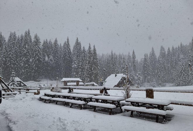 Sneg na Pokljuki FOTO: Siniša Uroševič/Delo