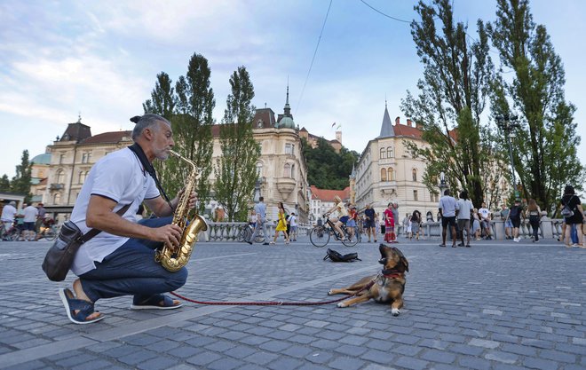 FOTO: Jože Suhadolnik/Delo