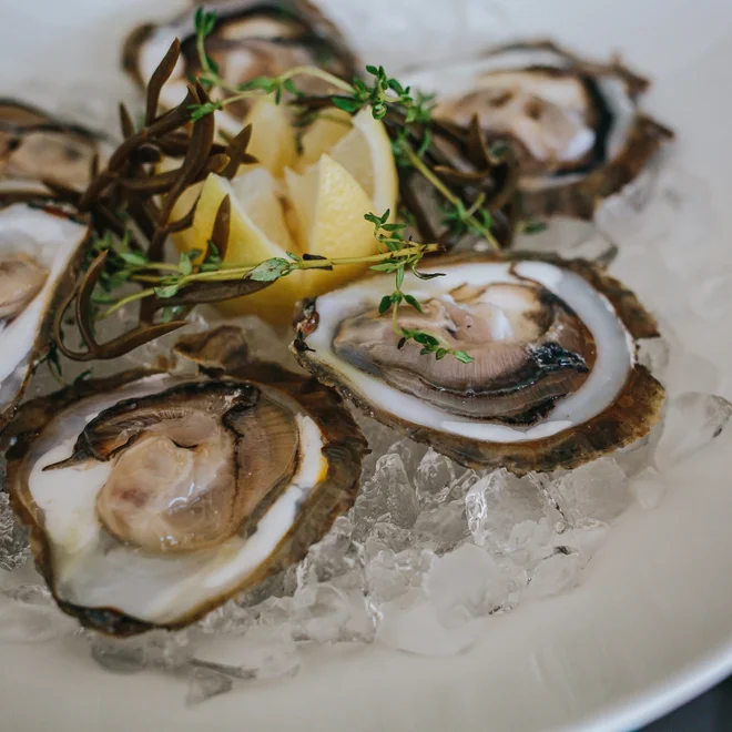 Dubrovniško-neretvanska regija je znana po bogati gastronomski ponudbi. Sveže morske specialitete so osnova lokalne kuhinje.   FOTO: Dubravko Lenert