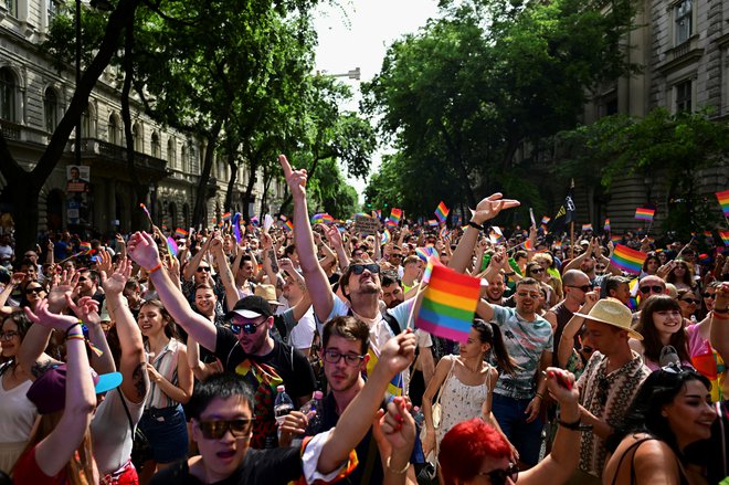 Novi zakon bi, kot navaja Reuters, še dodatno omejil pravico do javnega zbiranja, saj bi prepovedal vsakršne shode, ki »kršijo zakon o zaščiti otrok«. FOTO: Marton Monus/Reuters